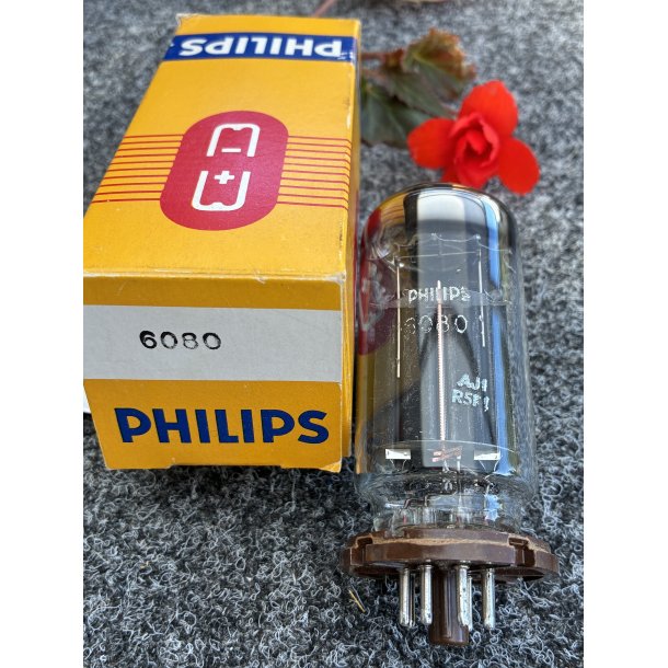 6080 SQ Philips Coin-Base