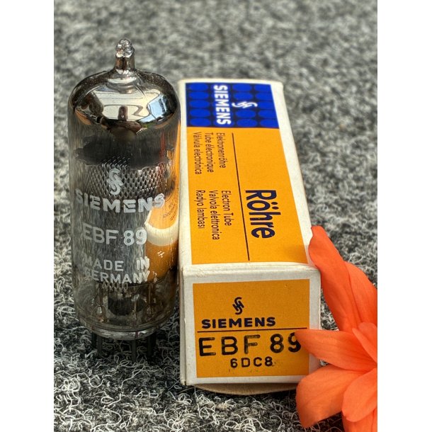 EBF89 Siemens