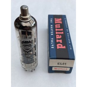 Pentode EL81 Mullard