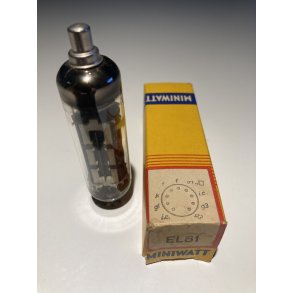 Pentode EL81 Philips (PAIR)