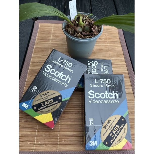 L-750 Scotch