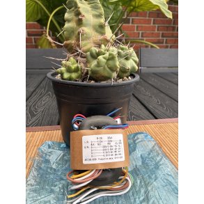 Nettrafo for Pre-amp/RIAA